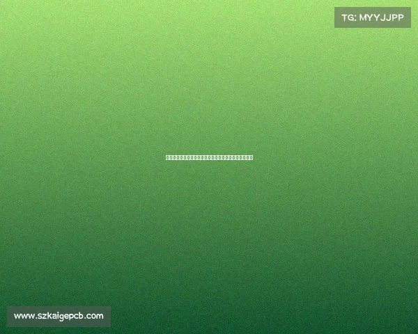 洛杉矶快船队新赛季篮球赛事全程赛程权威发布不容错过